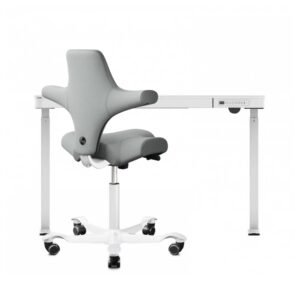 refurbished | FlexiSpot Liftek electric height adjustable desk 120x60 + Hag Capisco 8106 Fabric. light grey/white