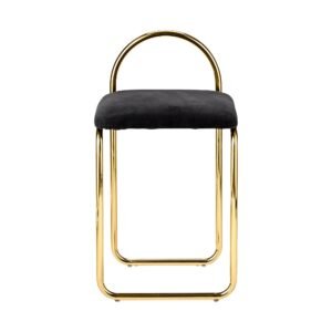Aytm Angui chair. anthracite/gold